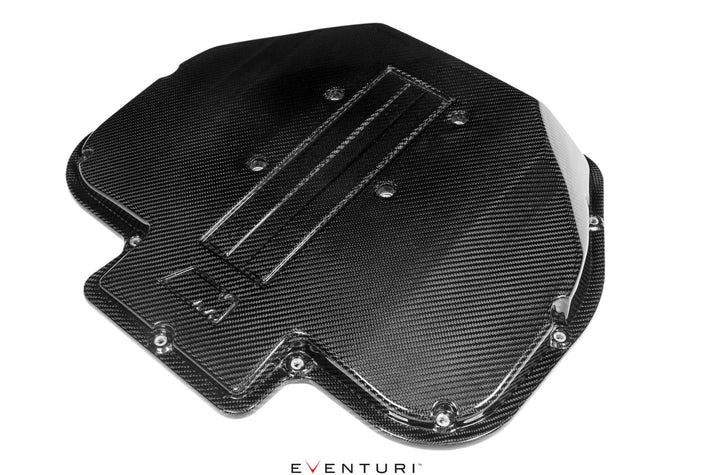 Eventuri BMW S62 V8 Carbon Plenum Lid