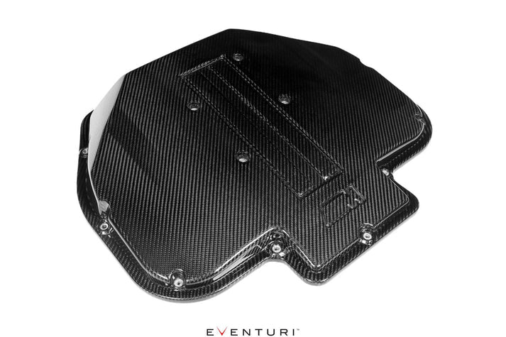 Eventuri BMW S62 V8 Carbon Plenum Lid